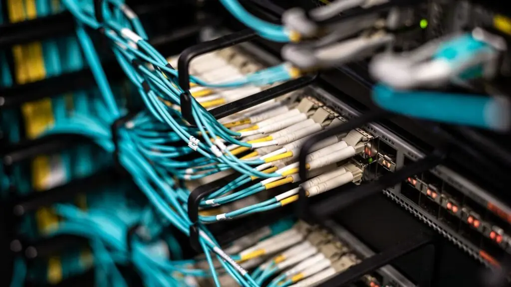 Rows of network cables connected to a server panel